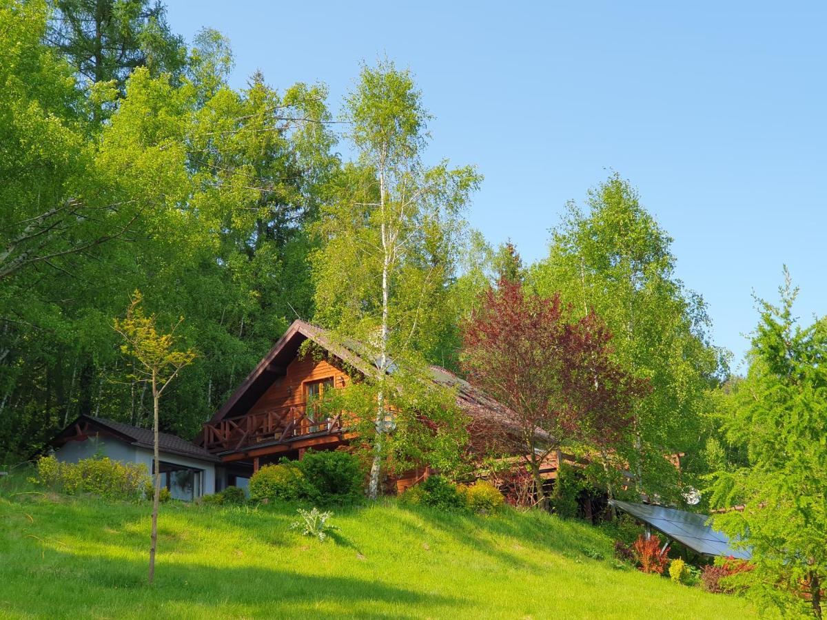 Ksiezycowa Dolina Apartment Ladek-Zdroj Exterior photo